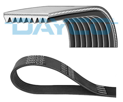 MULTIRIEM DAYCO 8PK900HD